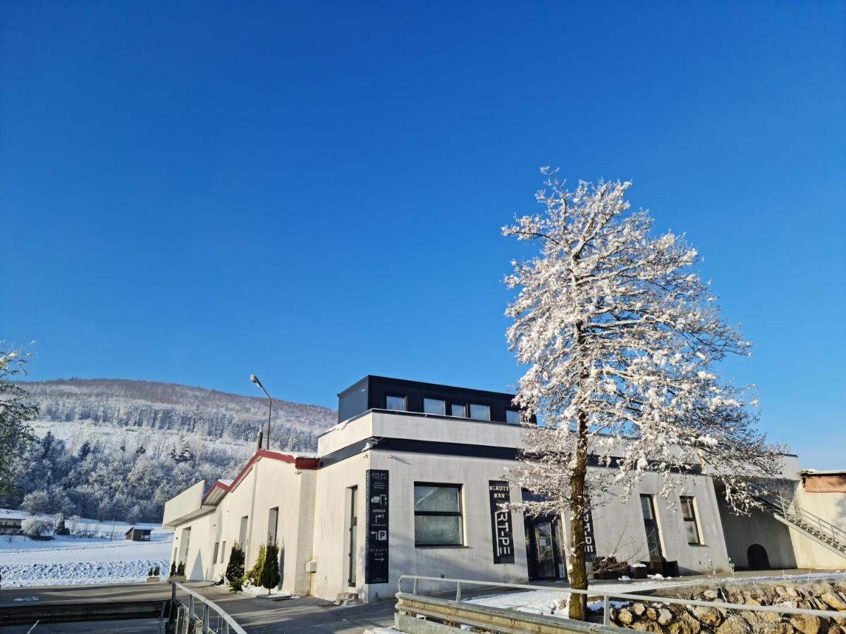 Roof Apartment Art-Pe Trebnje Экстерьер фото